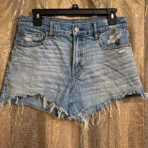 American Eagle Strigid Relaxed Distressed Denim Cut Off Shorts Size 6